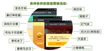 云亞爆炸式微信營(yíng)銷軟件 型號(hào)、功能與購(gòu)買指南